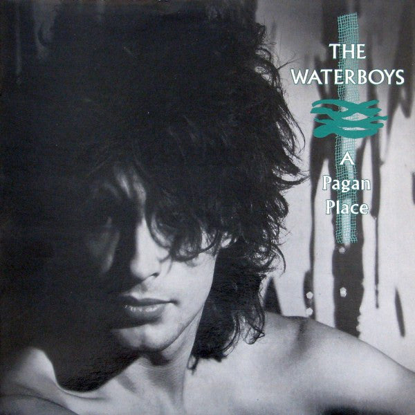The Waterboys – A Pagan Place - 1984 Pressing