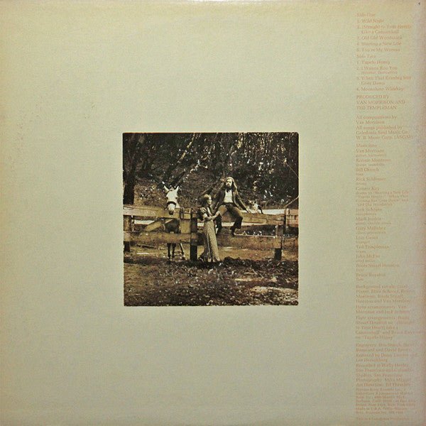 Van Morrison ‎– Tupelo Honey - Early Pressing - Vinyl Pursuit Inc