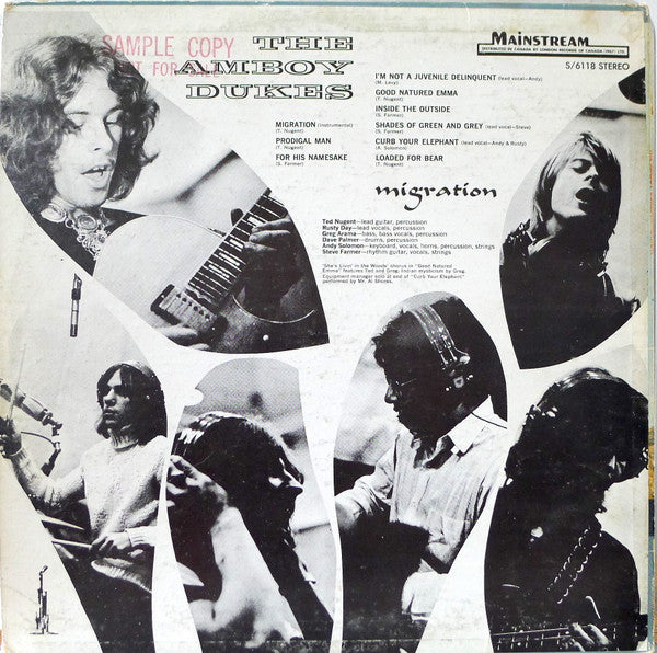 The Amboy Dukes – Migration - Rare 1969 Pressing!