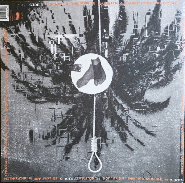 Against Me! – Total Clarity - 45RPM Double Album - Vinyl Pursuit Inc