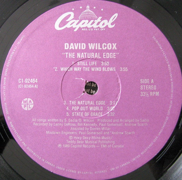 David Wilcox – The Natural Edge - 1989 Original!