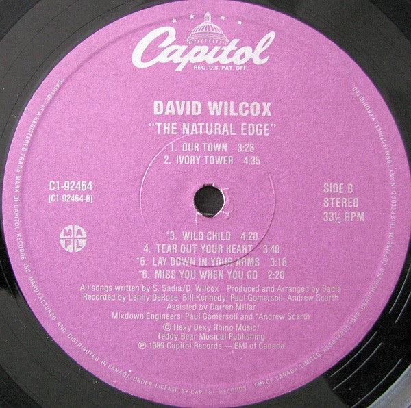 David Wilcox – The Natural Edge - 1989 Original!