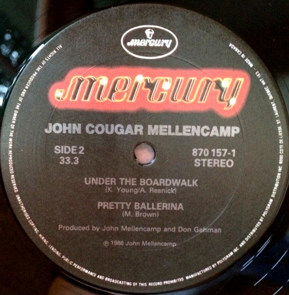 John Cougar Mellencamp – Check It Out