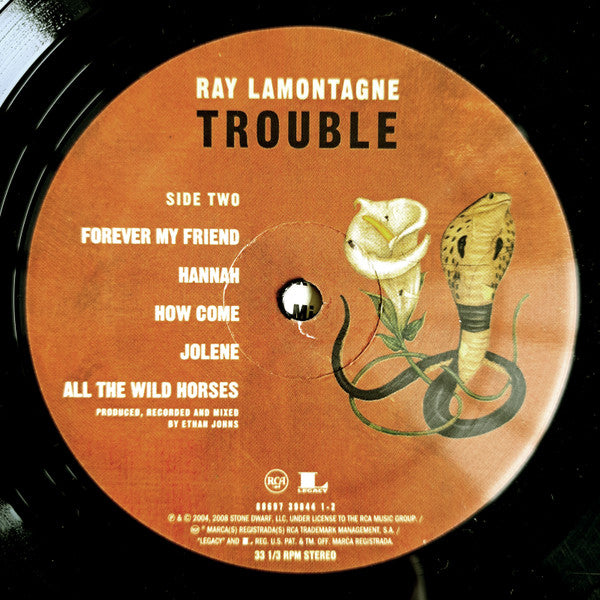 Ray Lamontagne – Trouble - 180g 2008 US Pressing