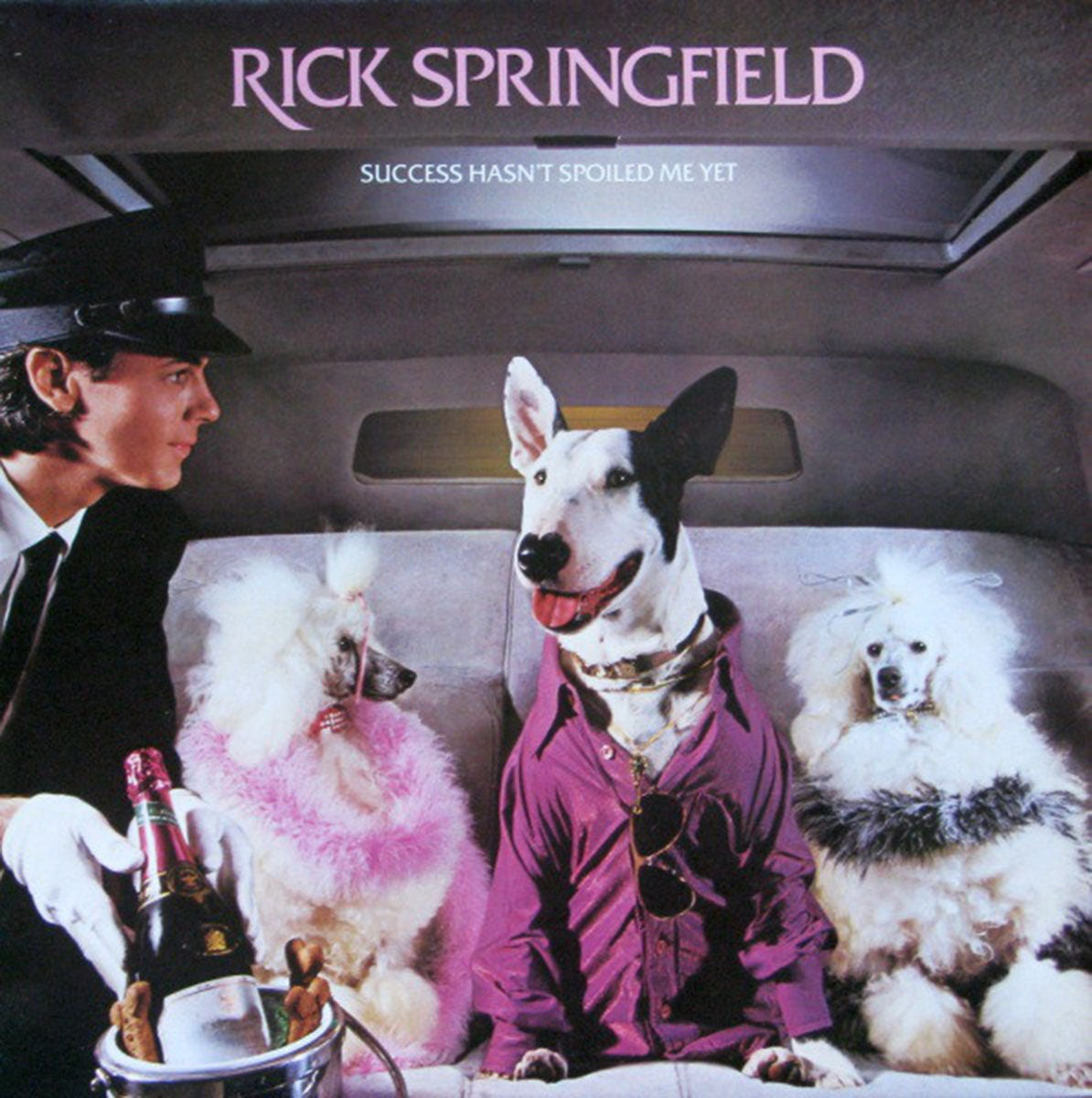 Rick Springfield – Success Hasn't Spoiled Me Yet - 1982