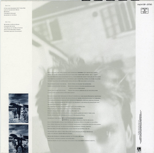 Sting – The Dream Of The Blue Turtles - 1985 VinylPursuit.com
