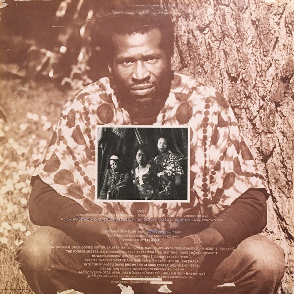 Taj Mahal – Recycling The Blues & Other Related Stuff - 1972! Vinyl Pursuit Inc