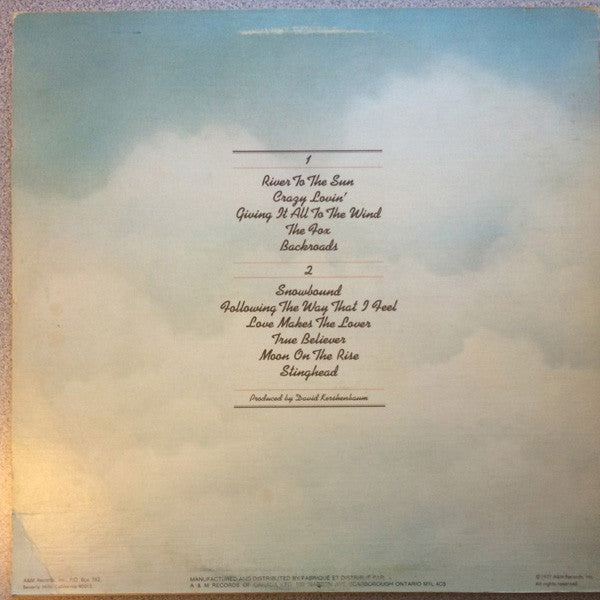 The Ozark Mountain Daredevils – Don't Look Down - 1977 Original - Vinyl Pursuit Inc