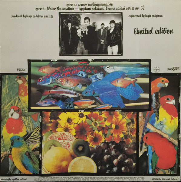 XTC – Senses Working Overtime - 1982 Limited Edition VinylPursuit.com