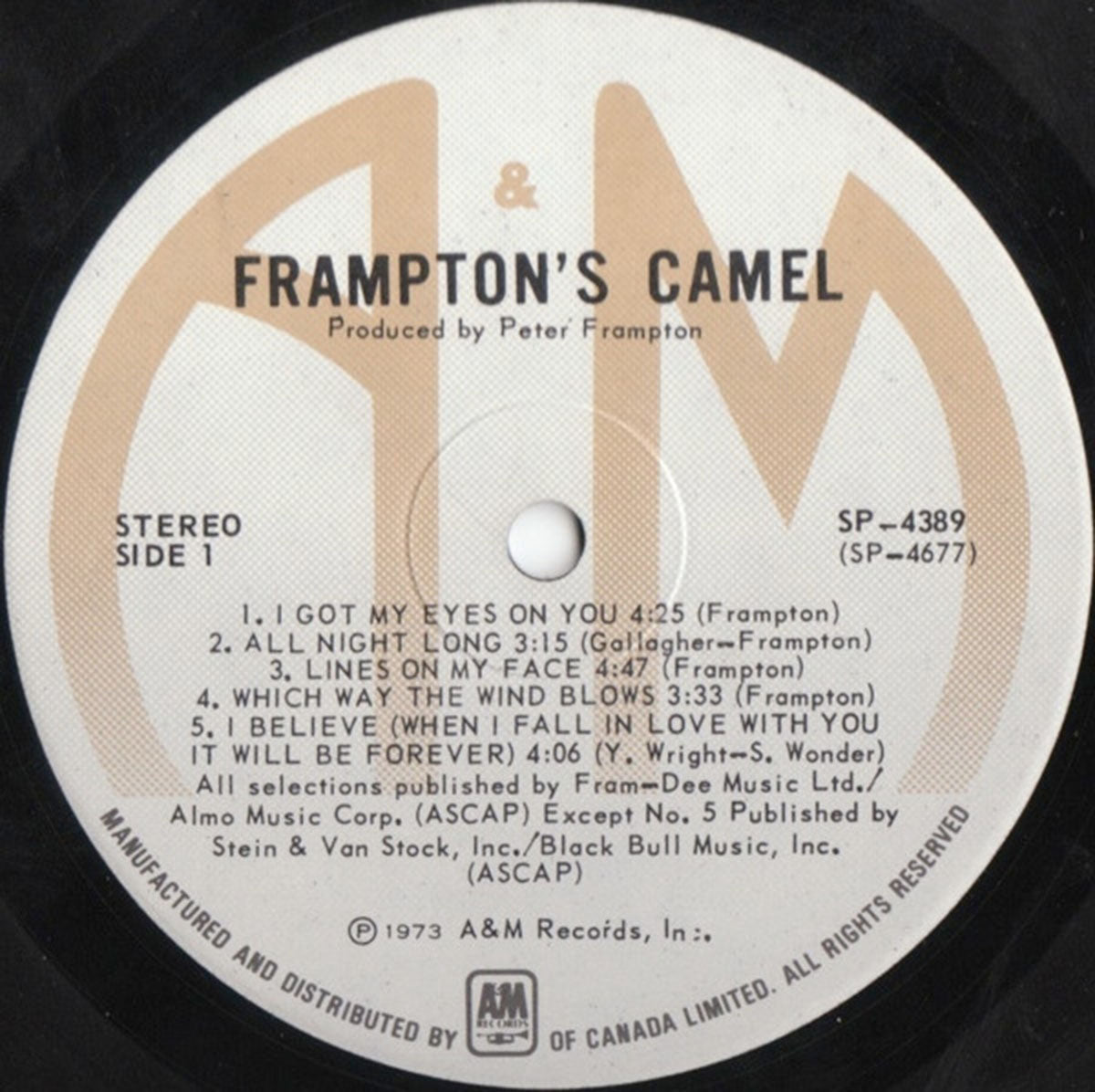 Frampton's Camel – Frampton's Camel