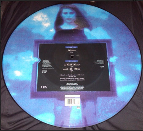 Warrant – Heaven - 1989 UK Picture Disc! VinylPursuit.com