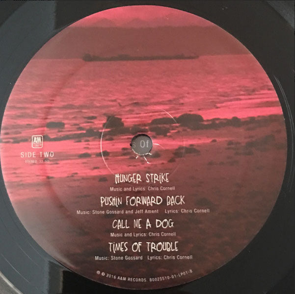 Temple Of The Dog ‎– Temple Of The Dog - Etched US Pressing! VinylPursuit.com