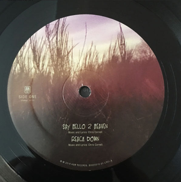 Temple Of The Dog ‎– Temple Of The Dog - Etched US Pressing! VinylPursuit.com