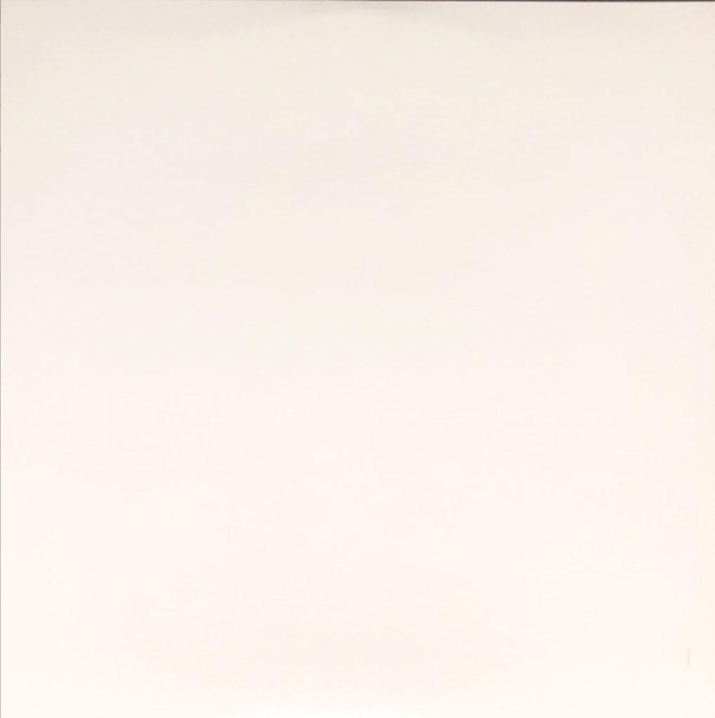 The Beatles ‎– The White Album - 1977 with Poster! VinylPursuit.com