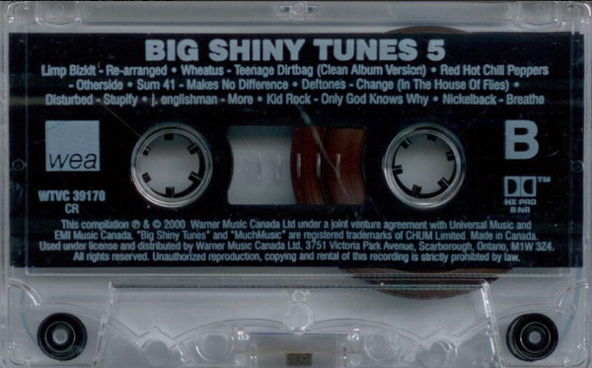 Big Shiny Tunes 5