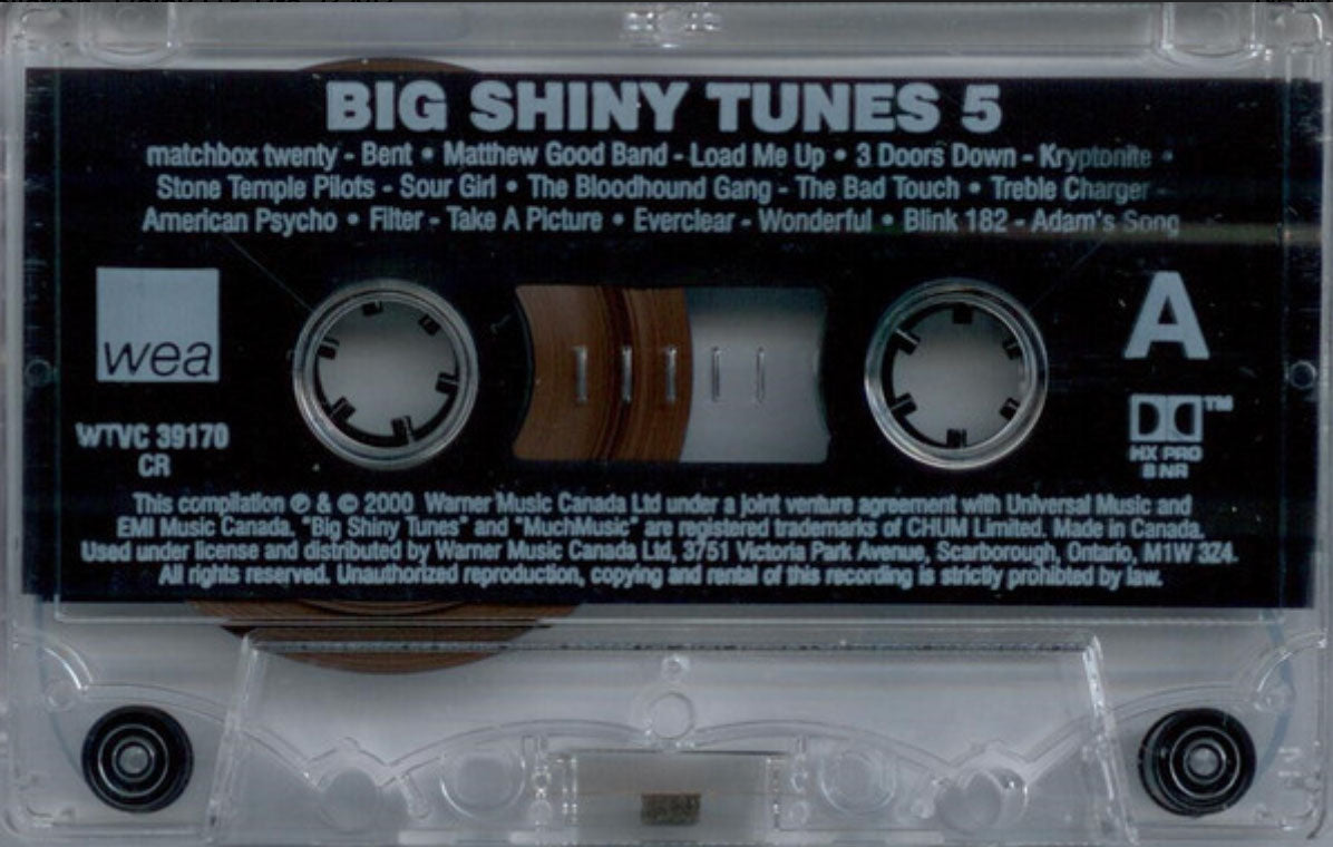 Big Shiny Tunes 5