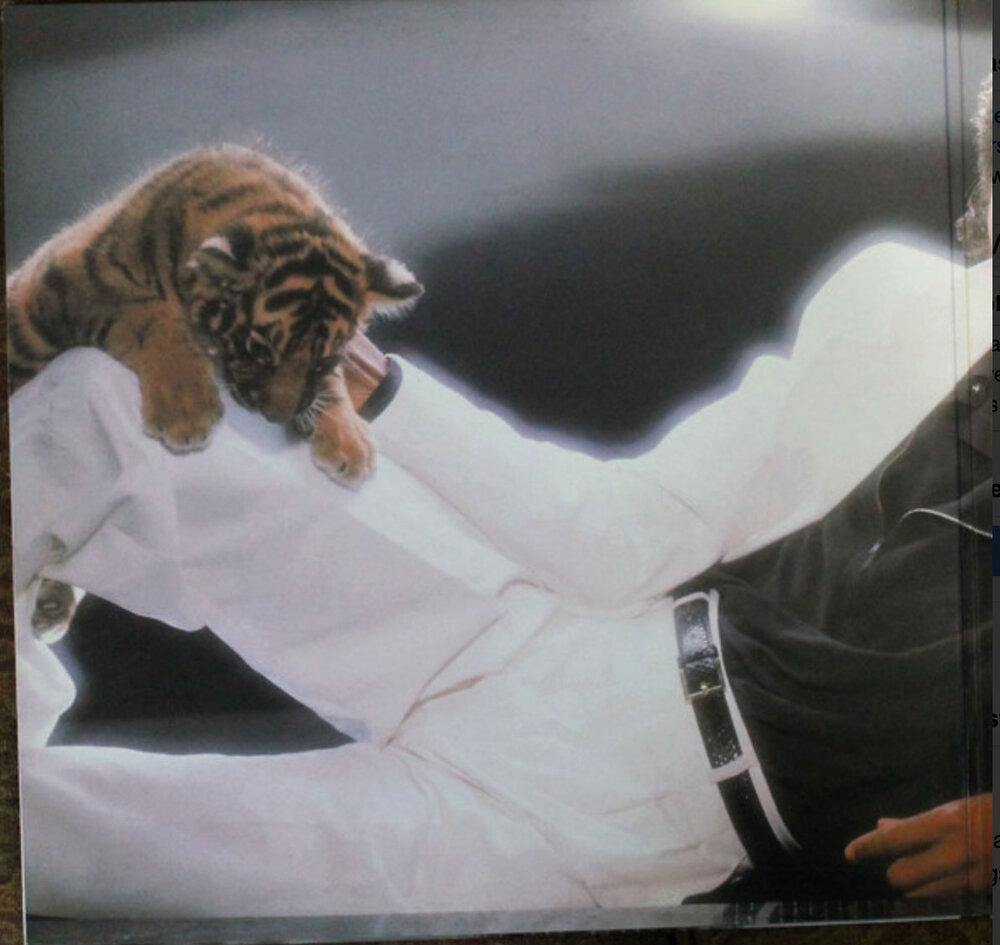 MICHAEL JACKSON ‎– Thriller - VinylPursuit.com