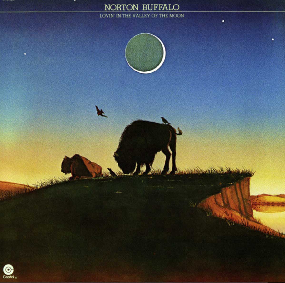 Norton Buffalo ‎– Lovin' In The Valley Of The Moon