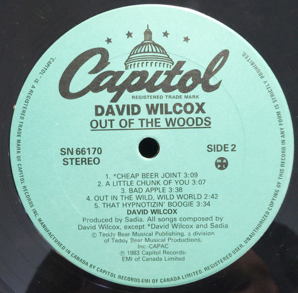 David Wilcox - Out Of The Woods - 1983