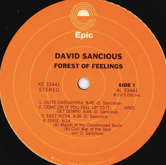 David Sancious – Forest Of Feelings