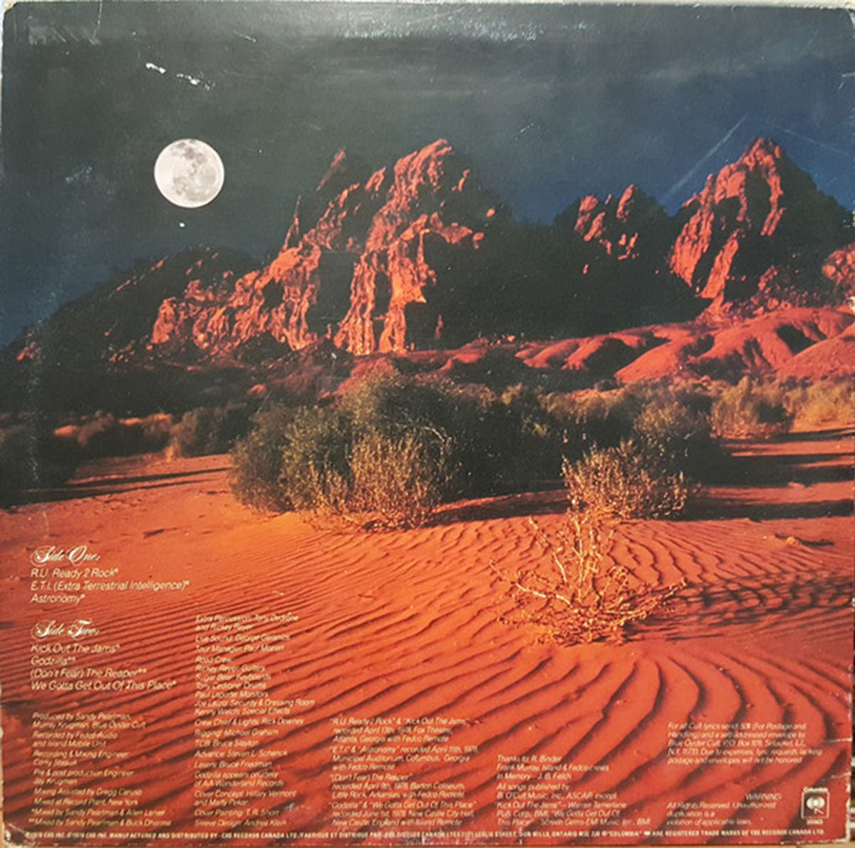 Blue Oyster Cult ‎– Some Enchanted Evening - 1978 VinylPursuit.com