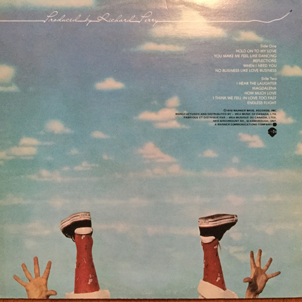 Leo Sayer ‎– Endless Flight VinylPursuit.com