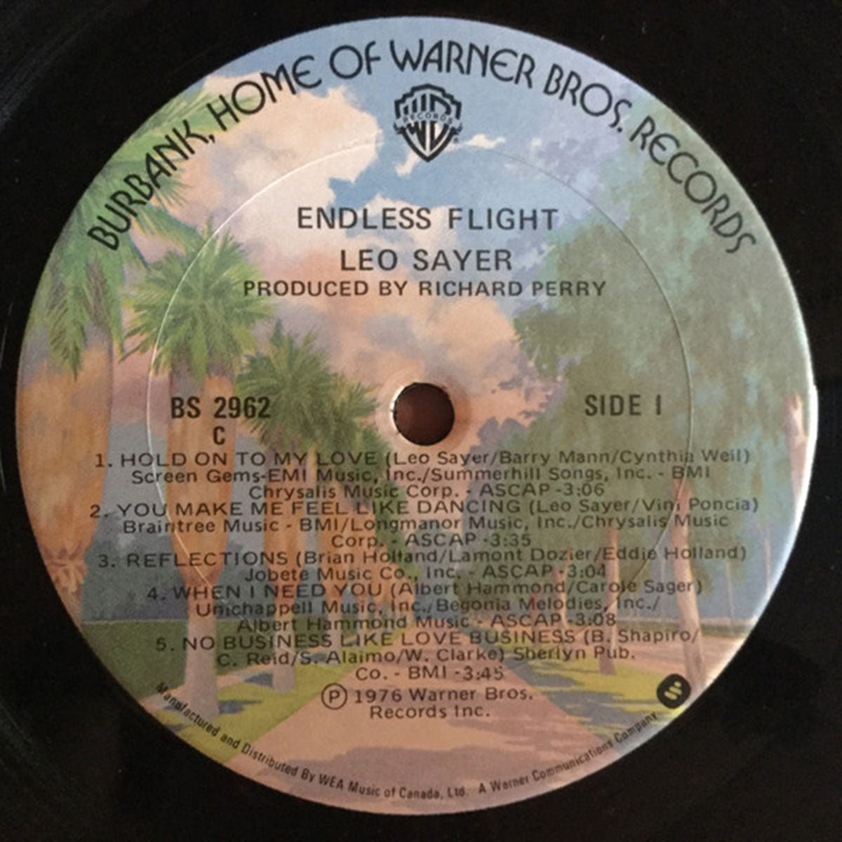 Leo Sayer ‎– Endless Flight VinylPursuit.com