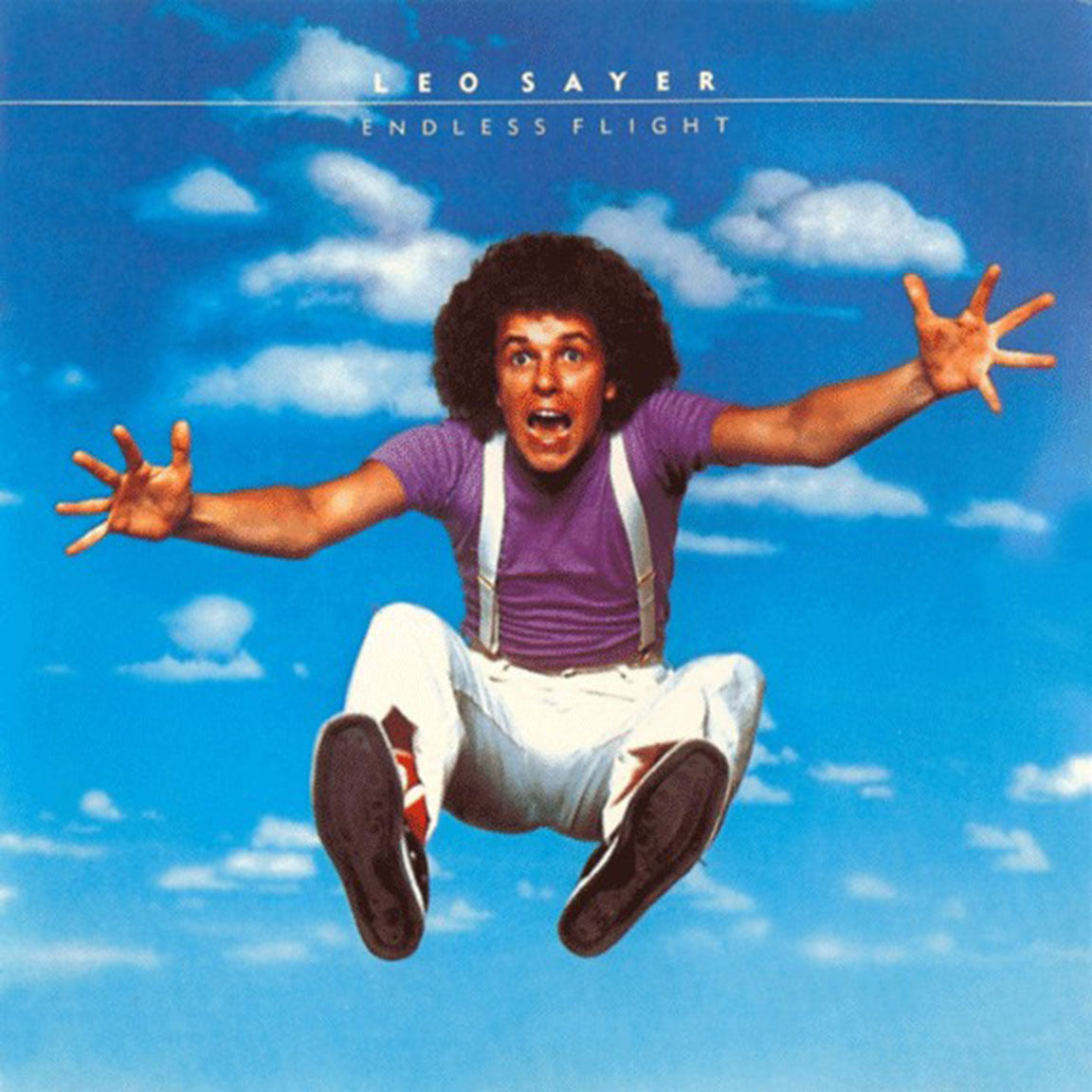 Leo Sayer ‎– Endless Flight VinylPursuit.com