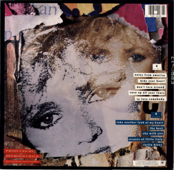 Bonnie Tyler ‎– Notes From America - 1988 US Pressing