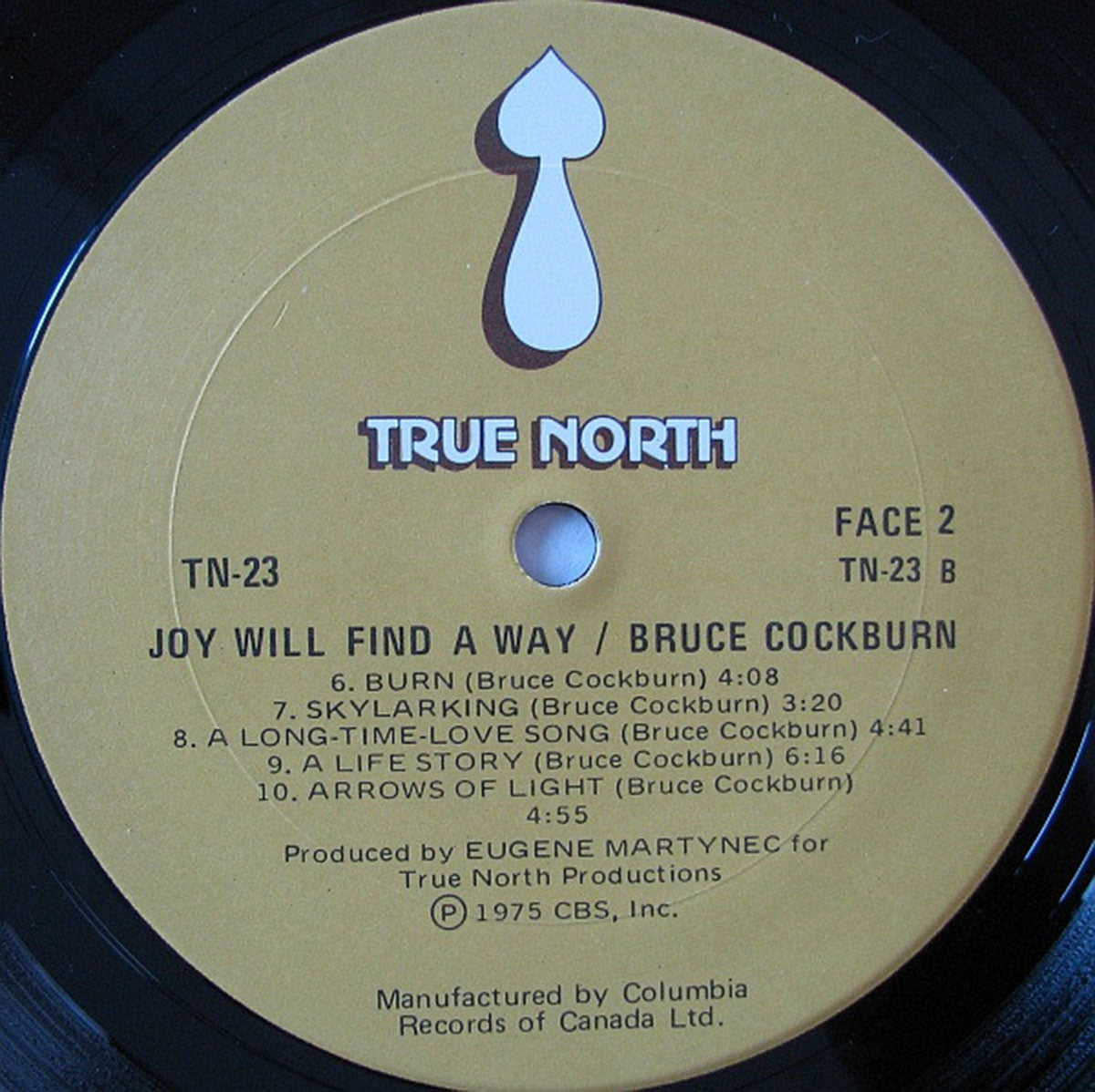 Bruce Cockburn – Joy Will Find A Way