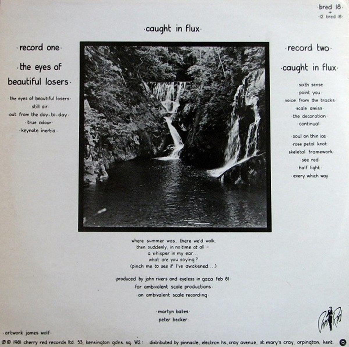 Eyeless In Gaza – Caught In Flux - 1981 UK Pressing Vinyl Pursuit Inc