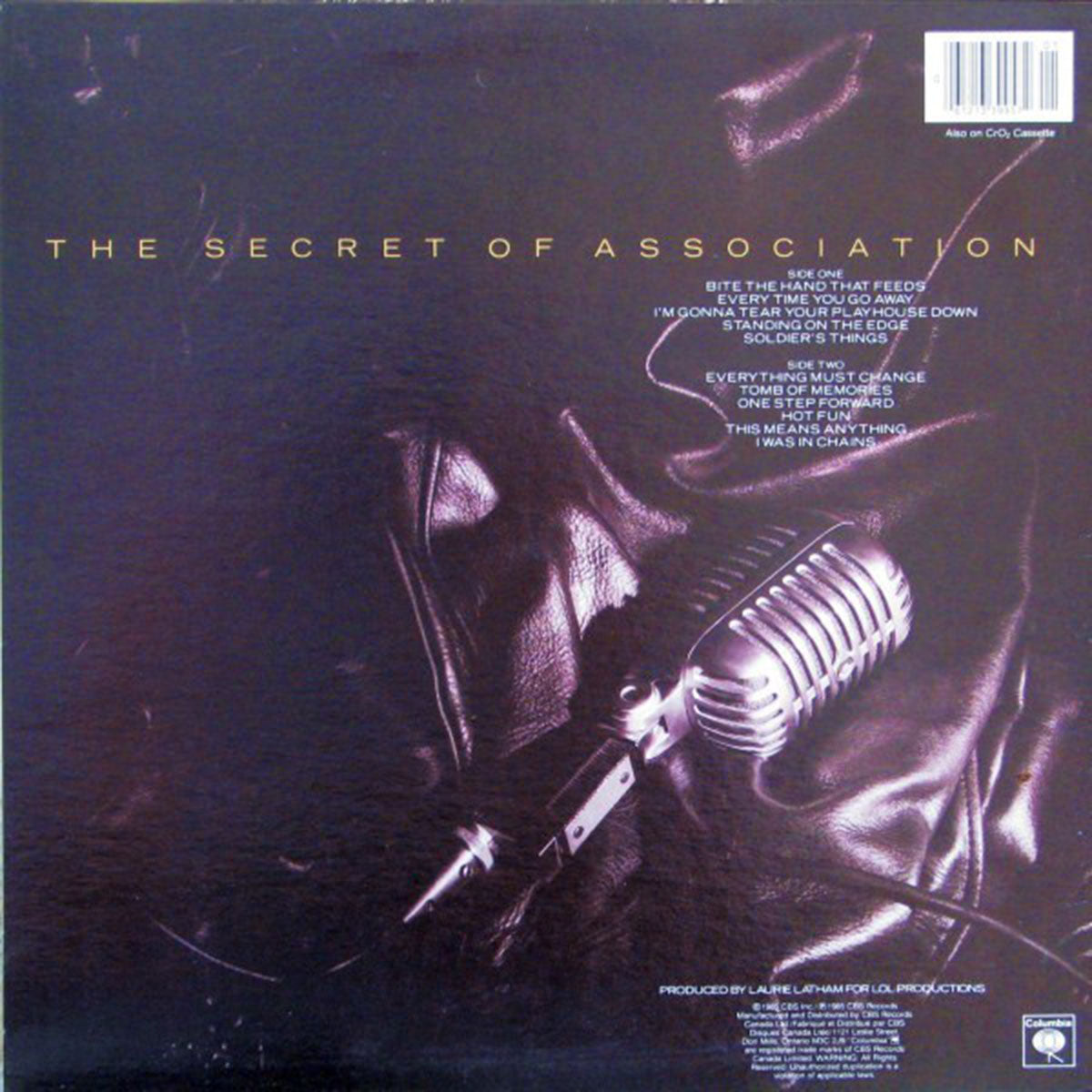 Paul Young – The Secret Of Association - 1985! VinylPursuit.com
