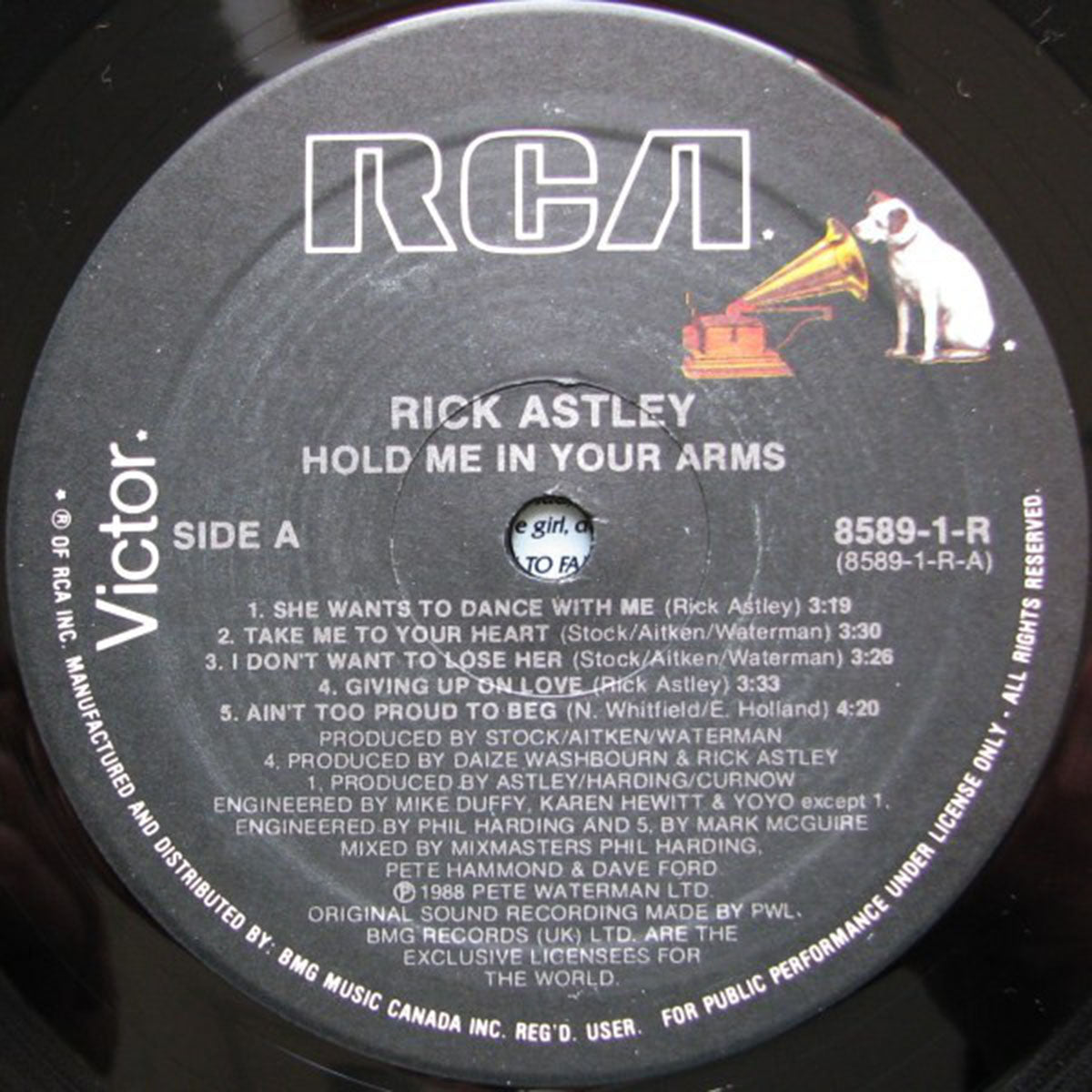 Rick Astley – Hold Me In Your Arms