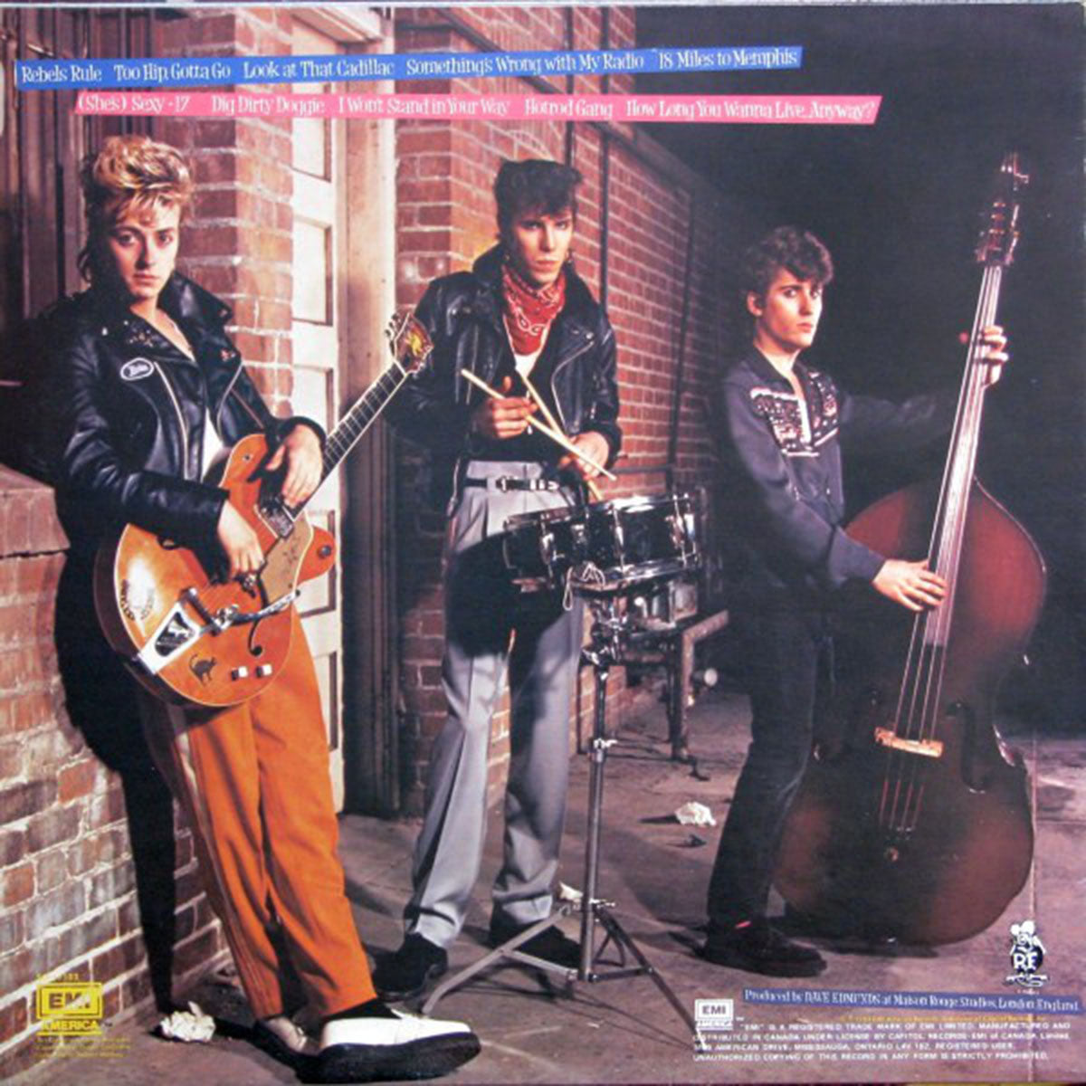 Stray Cats – Rant N' Rave With The Stray Cats VinylPursuit.com