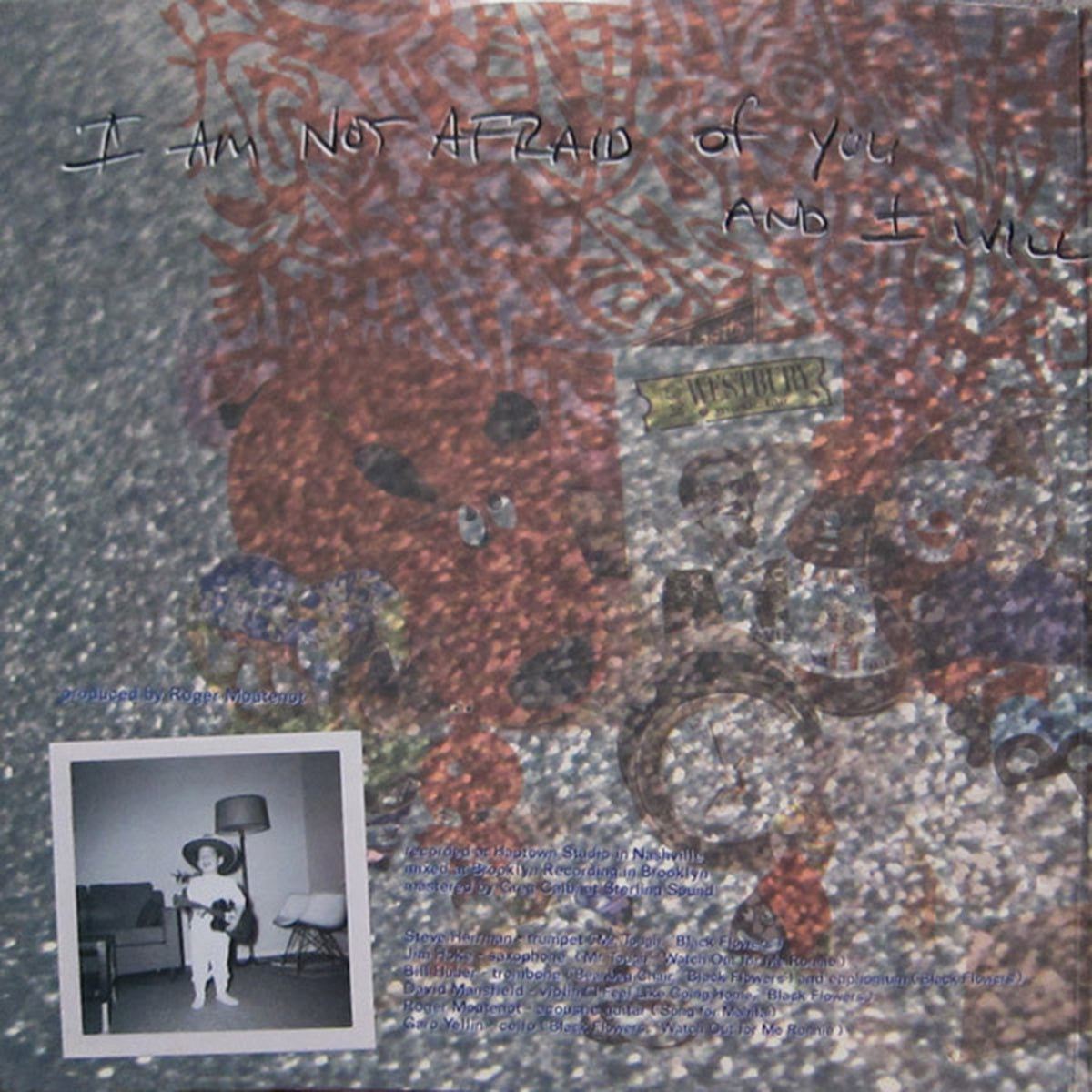 Yo La Tengo – I Am Not Afraid of You and I Will Beat Your Ass - US Pressing VinylPursuit.com