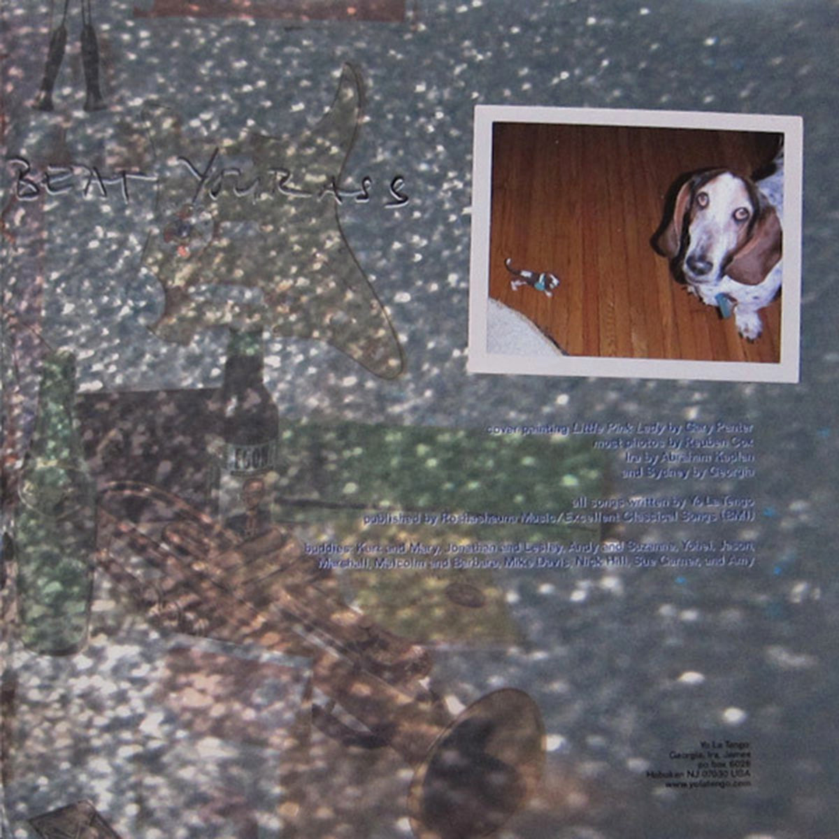 Yo La Tengo – I Am Not Afraid of You and I Will Beat Your Ass - US Pressing VinylPursuit.com